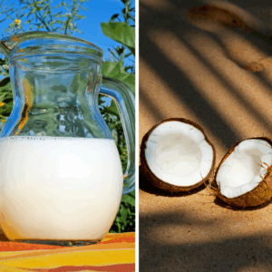 Leite de Coco para Bebês