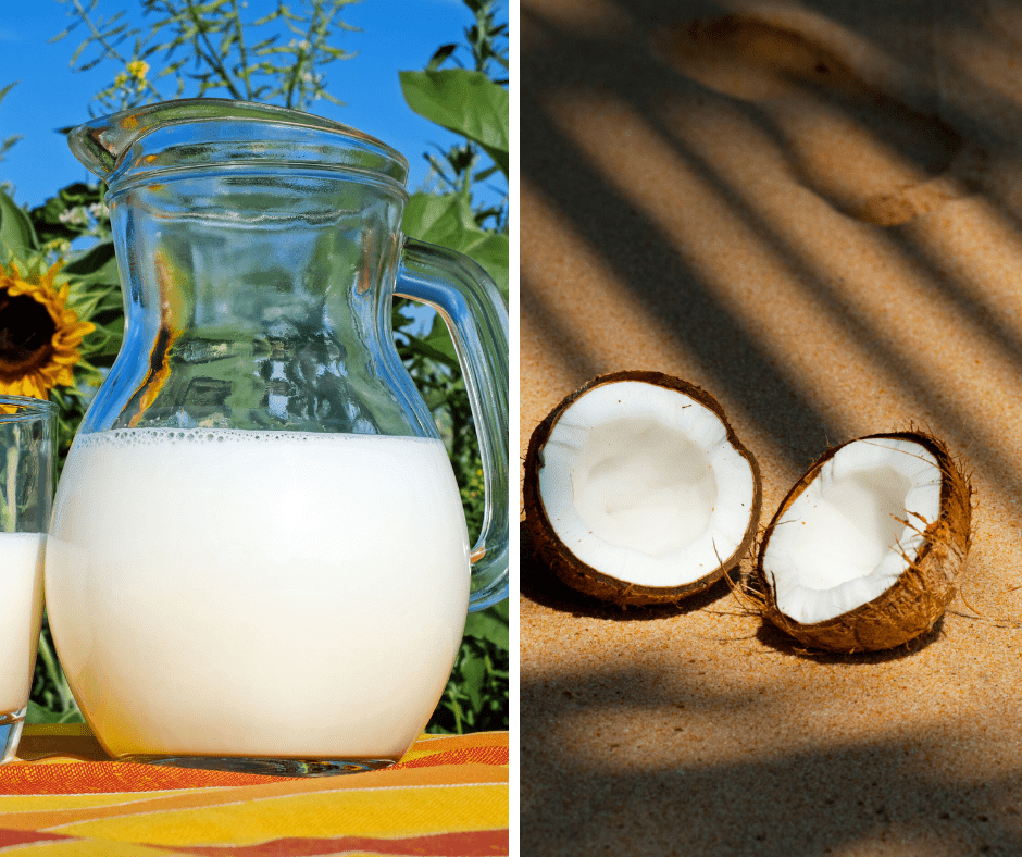Leite de Coco para Bebês