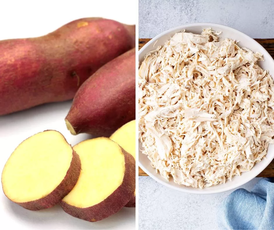 Receita de Papinha Salgada de Batata Doce com Frango para Introdução Alimentar do Bebê